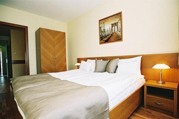 Panorama Wellness Apartman Hotel Хайдусобосло Номер фото